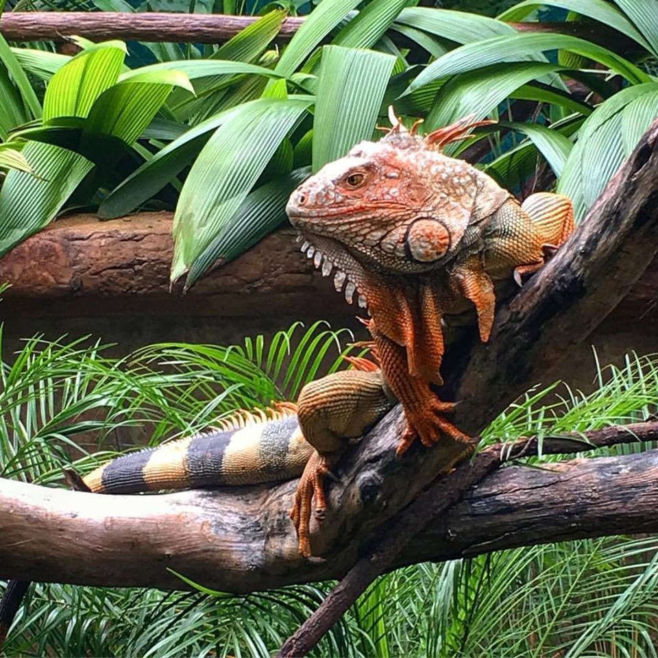 Costa Rica National Parks
