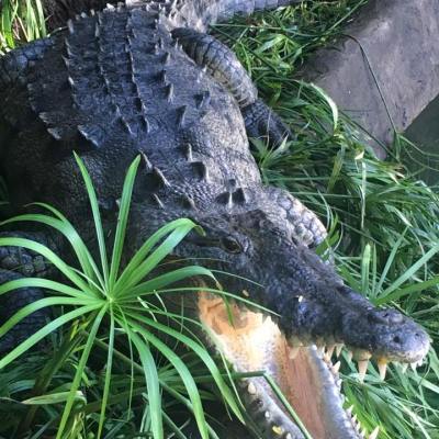 Adventure Park Costa Rica