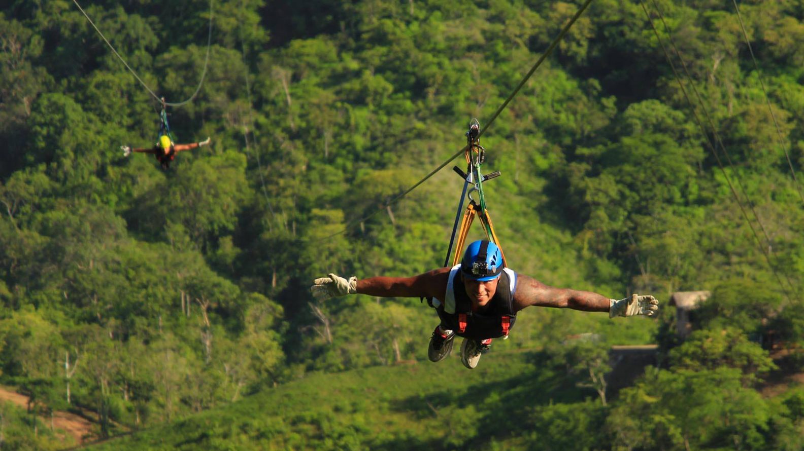 People ziplining through the trees