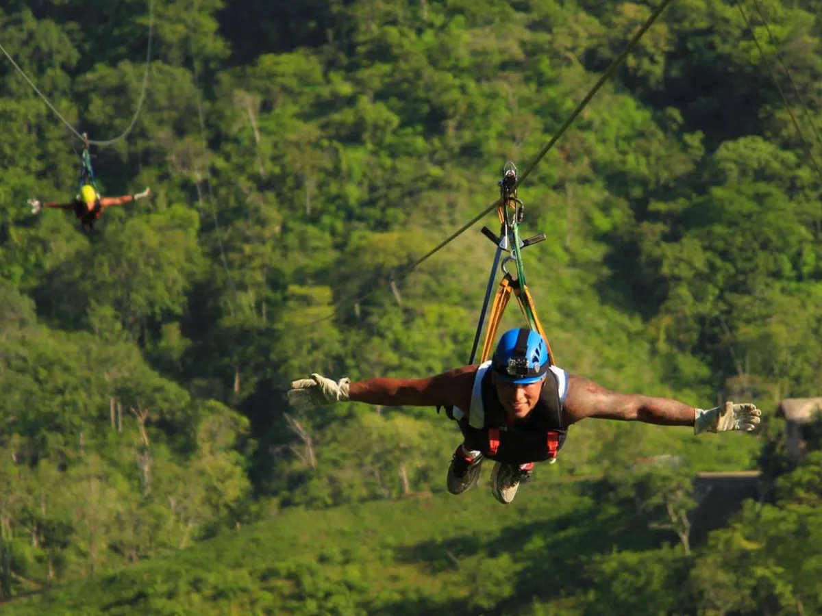 People ziplining through the trees
