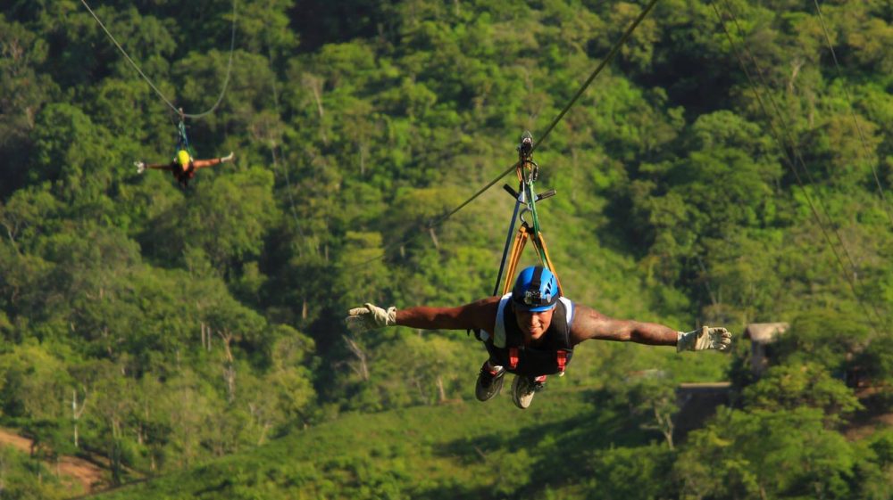 People ziplining through the trees