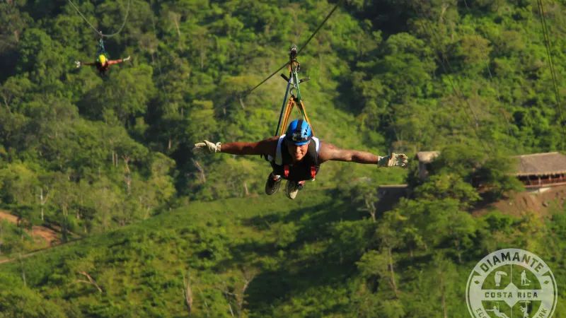 People ziplining through the trees