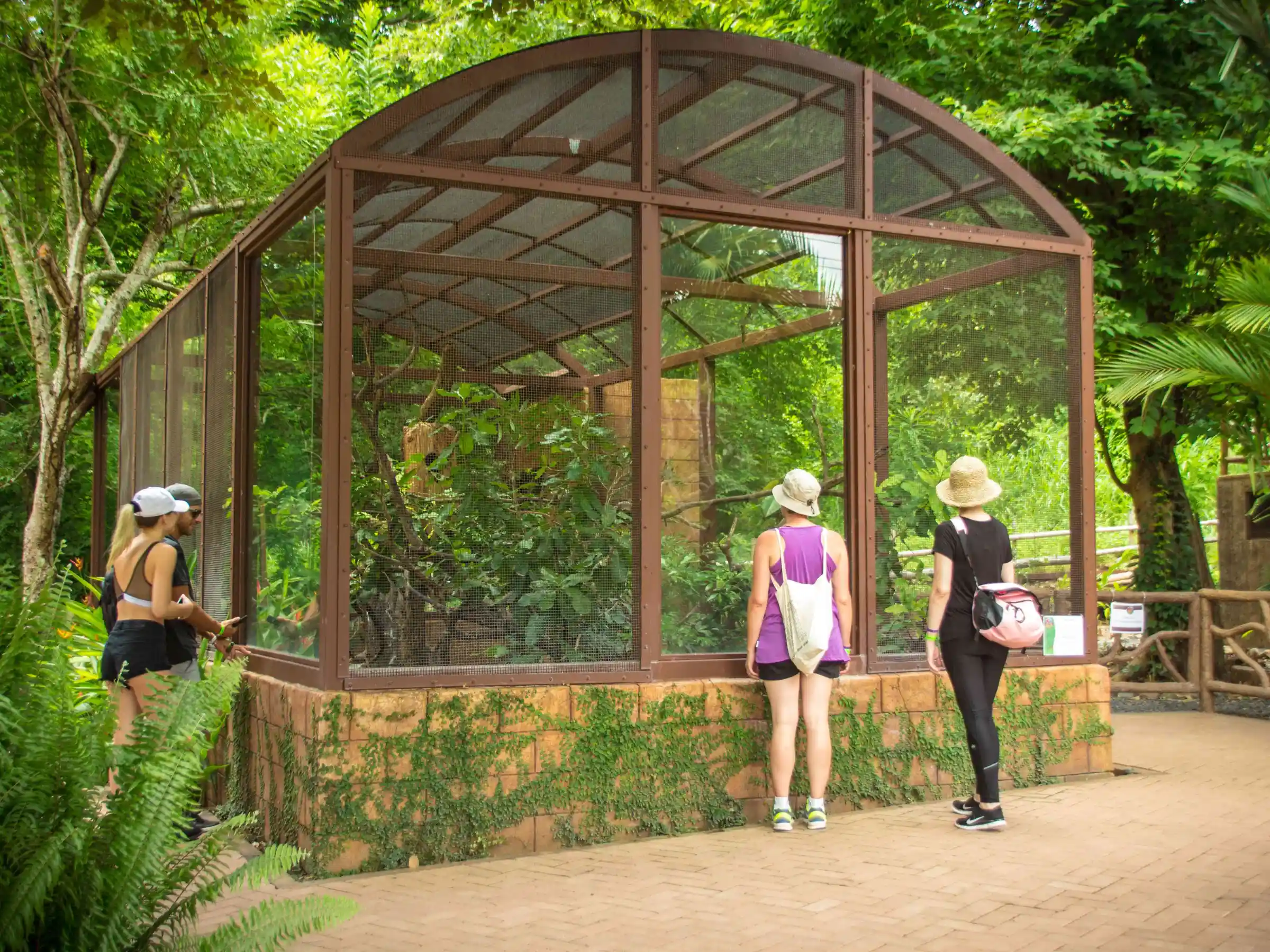 Animal Sanctuary Costa Rica