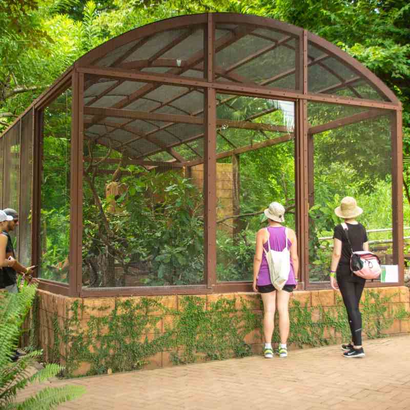 Animal Sanctuary Costa Rica