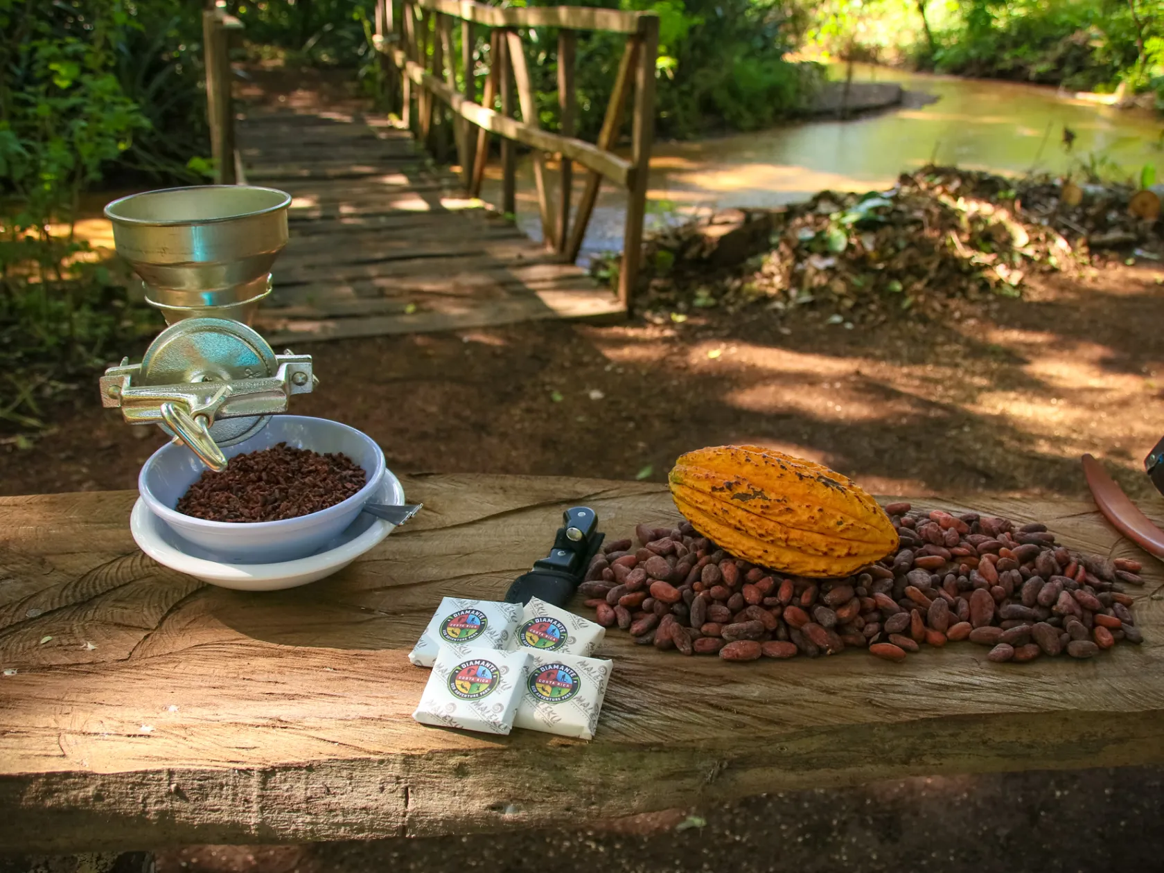 Best Adventure Park Costa Rica