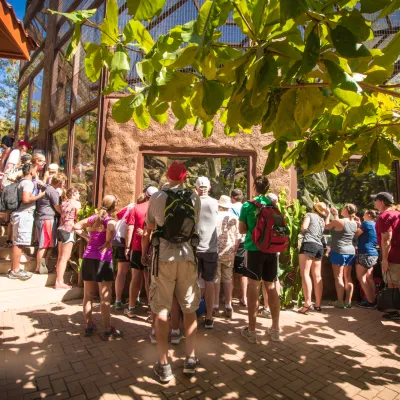 A group of visitors being show around