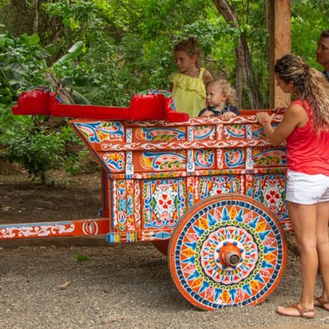 Traditonal Costa Rican Ox Cart