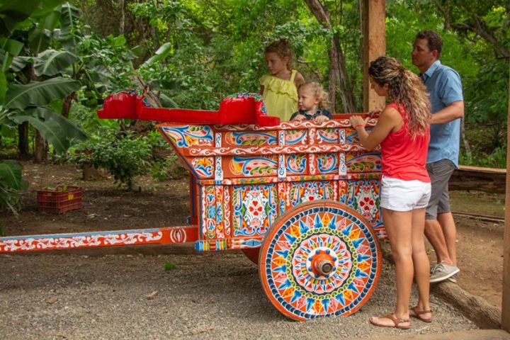 Traditonal Costa Rican Ox Cart