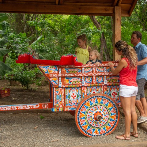 Traditonal Costa Rican Ox Cart