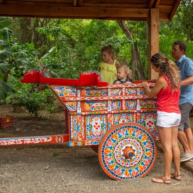 Traditonal Costa Rican Ox Cart