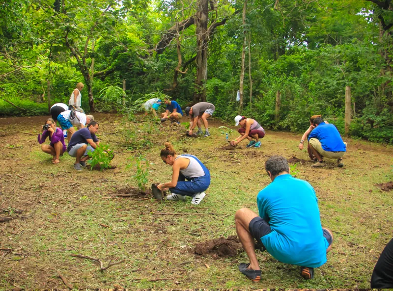 A group of people planting trees in the forest