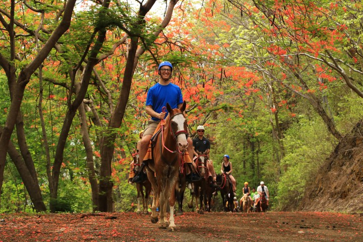 A woman riding a horse through the jungle