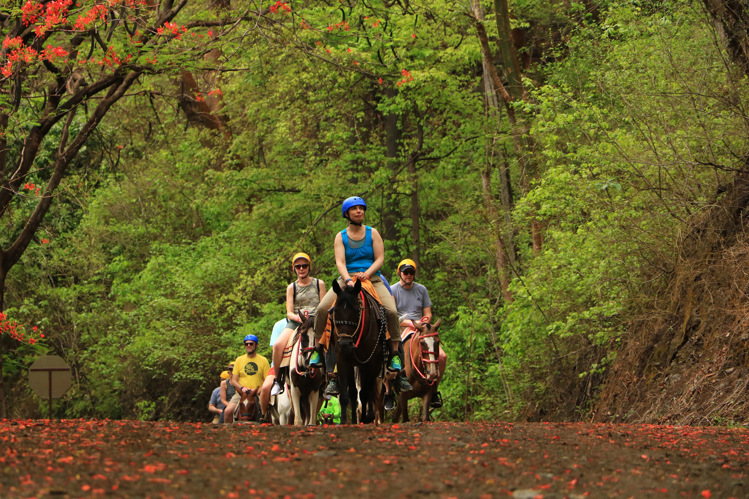 Horseback riding tour