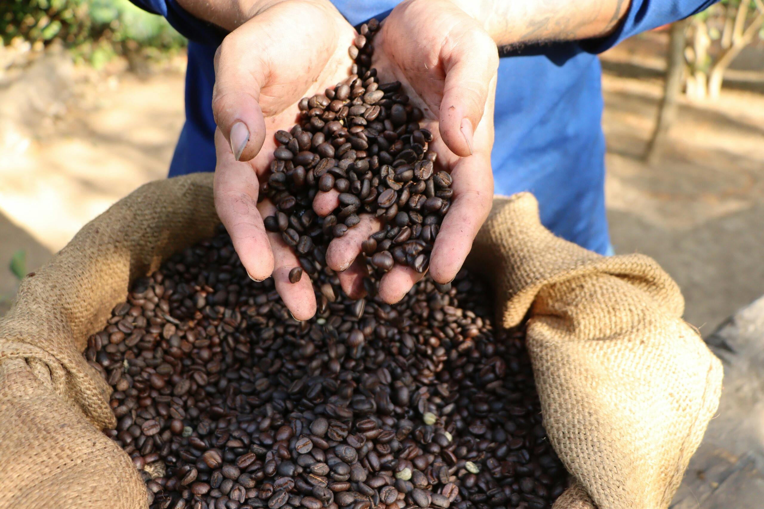 Traditional coffee making experience