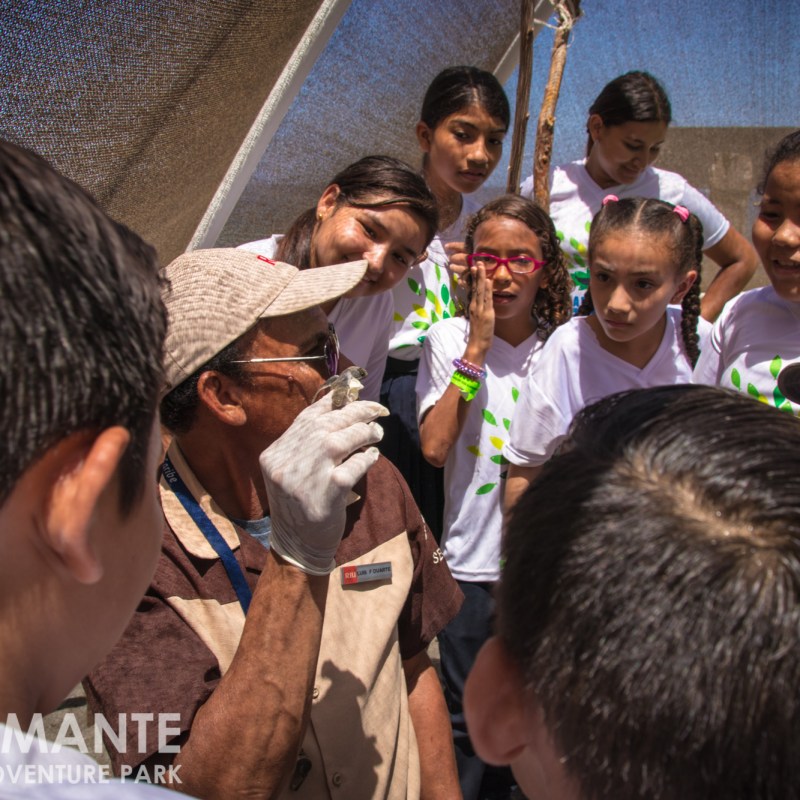 children learning about turtles