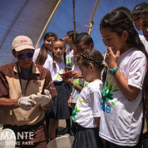 children learning about turtles