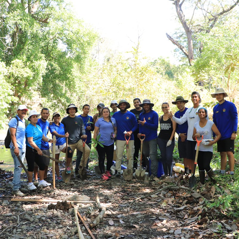 a group of people standing next to a tree