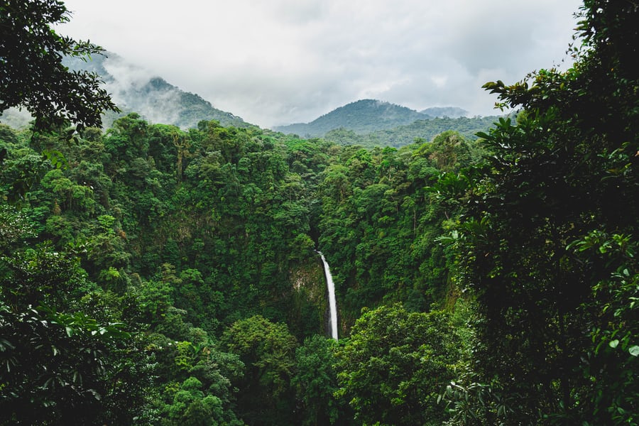 a large waterfall next to a tree