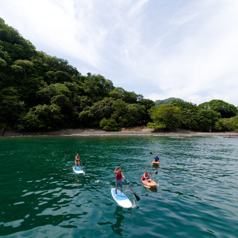 a group of people swimming in a body of water