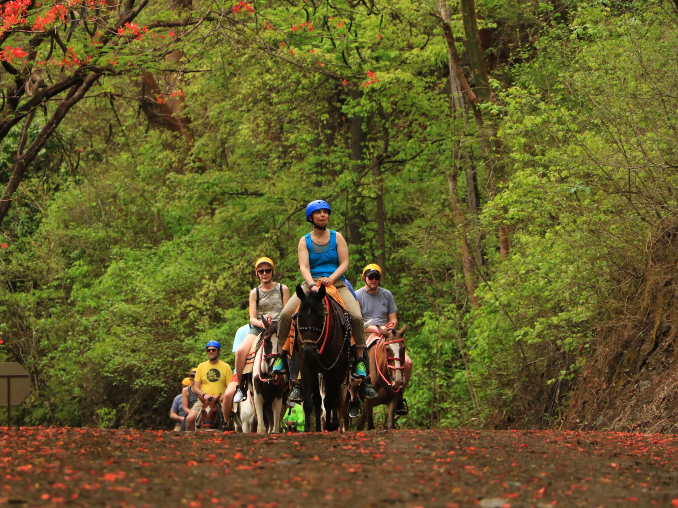 a group of people riding on the back of a horse