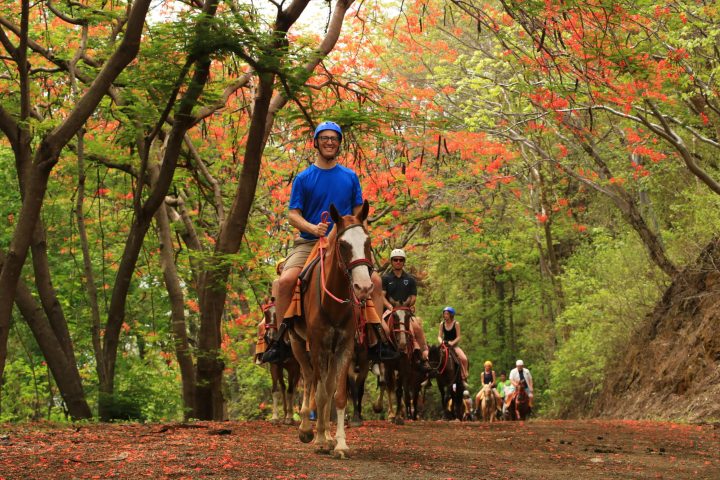 a man riding a horse in a forest