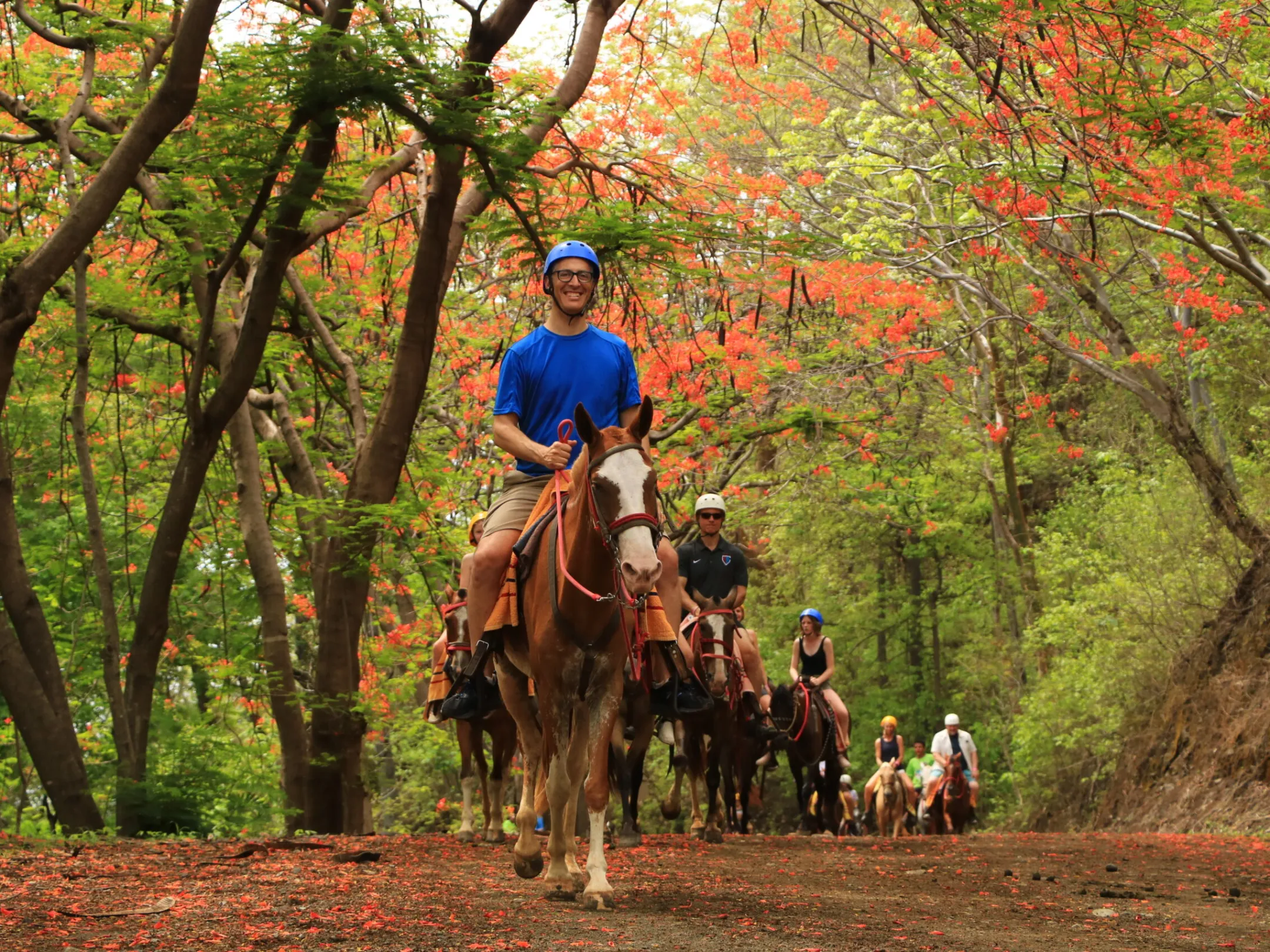 a man riding a horse in a forest
