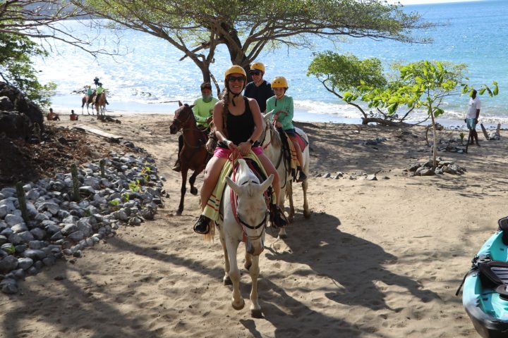 a person riding a horse on a beach