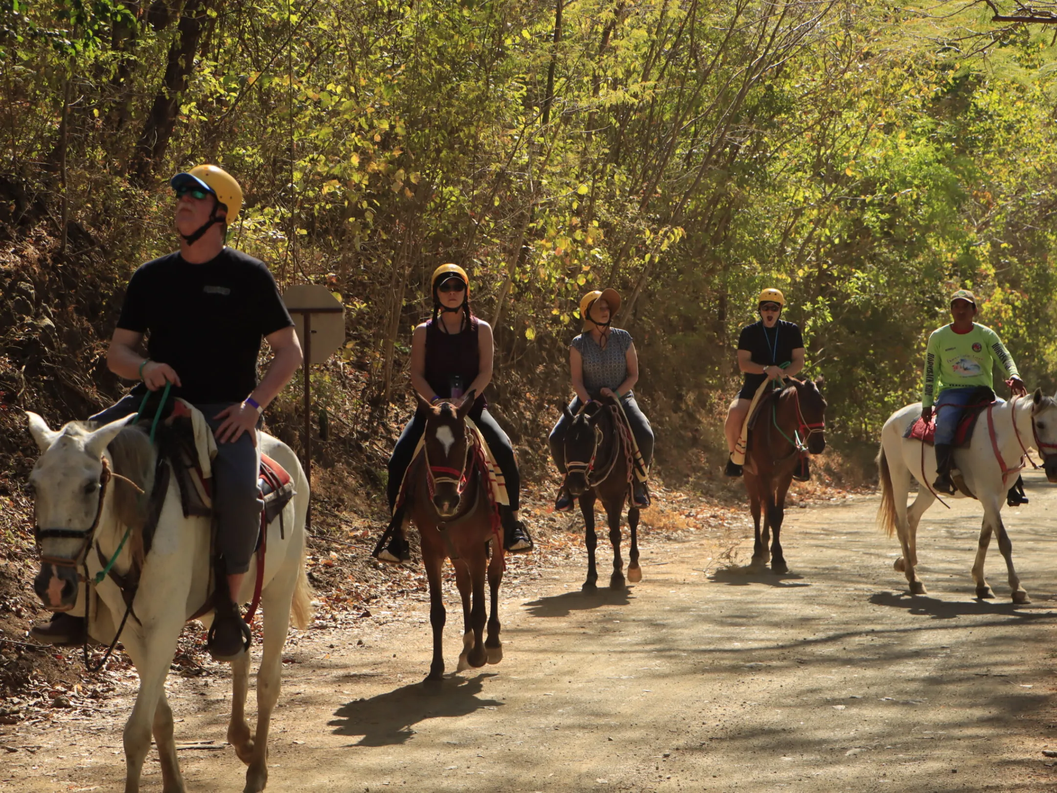 a group of people riding on the back of a horse