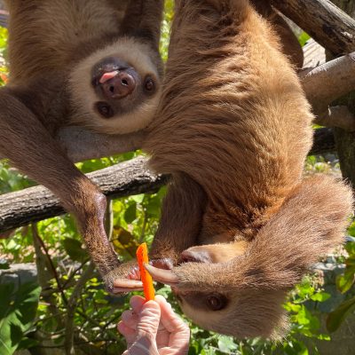 Mia and Ziggy enjoying lunch
