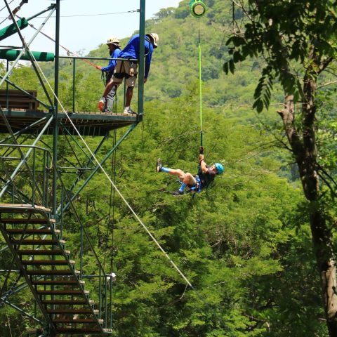 a group of people in a forest