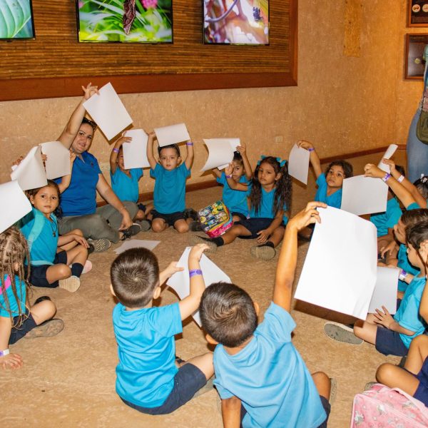 a small child is holding a bunch of stuffed animals