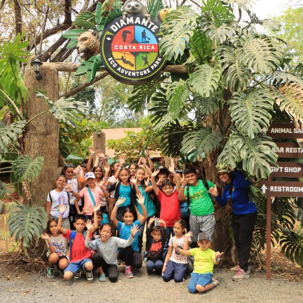 a group of people standing in front of a palm tree