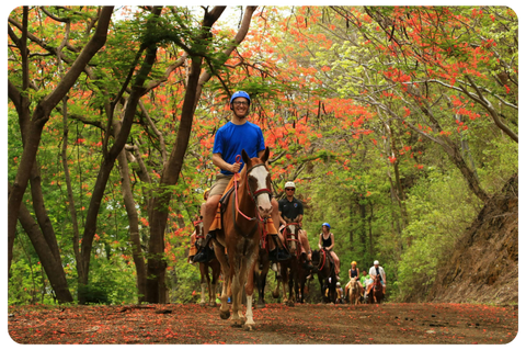 a person riding a horse in a forest