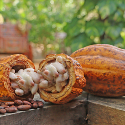 a cake with fruit on top of a wooden table