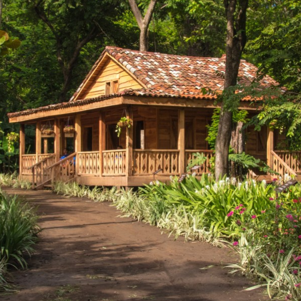a tree in front of a house