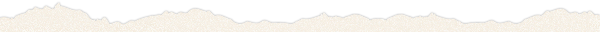 a close up of a logo