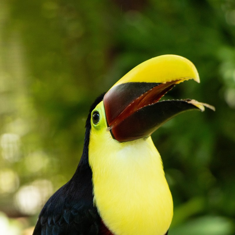 a small bird sitting on top of each other