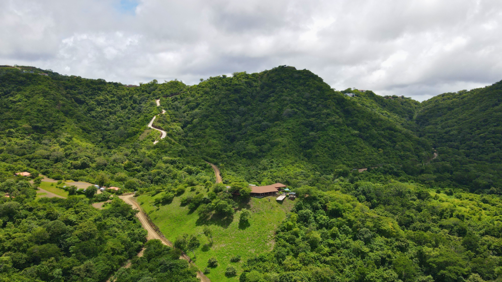 a large green field with a mountain in the background