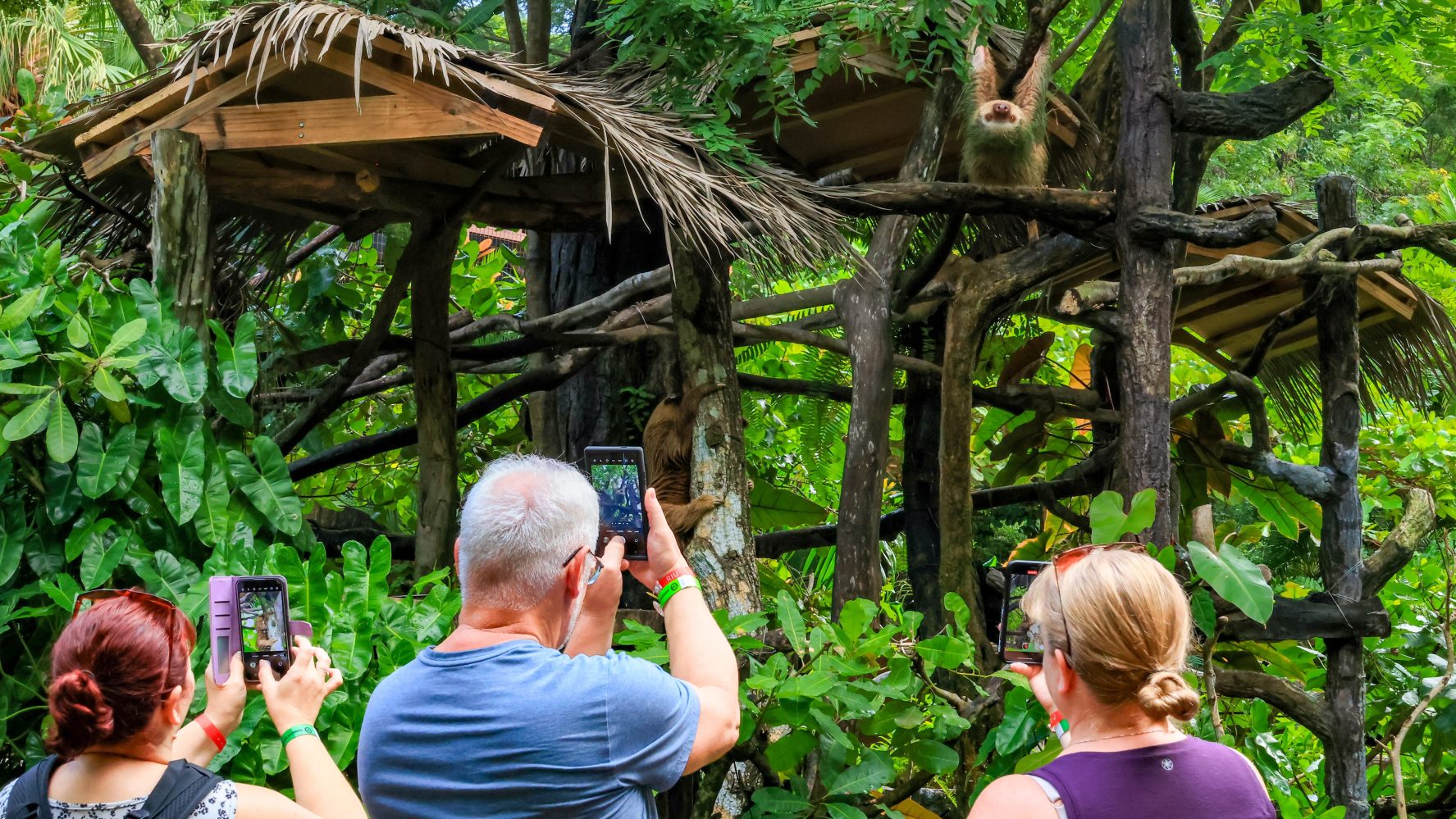 a group of people sitting at a zoo