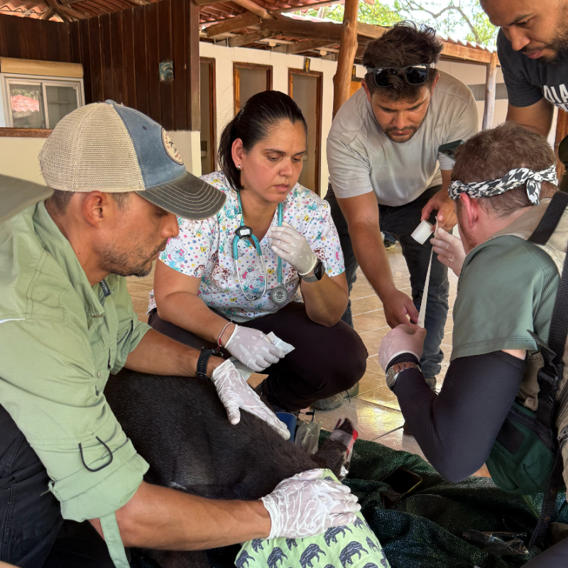 a group of people sitting at a table