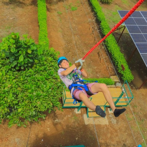 Person ziplining with helmet and harness over greenery and solar panels.