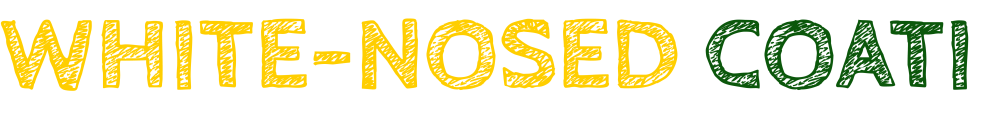 Text reading 'WHITE-NOSED COATI' in yellow and green on a dark background.