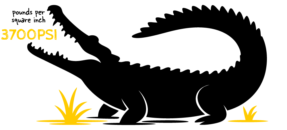 Silhouette of a crocodile with text: '3700 PSI, pounds per square inch'.