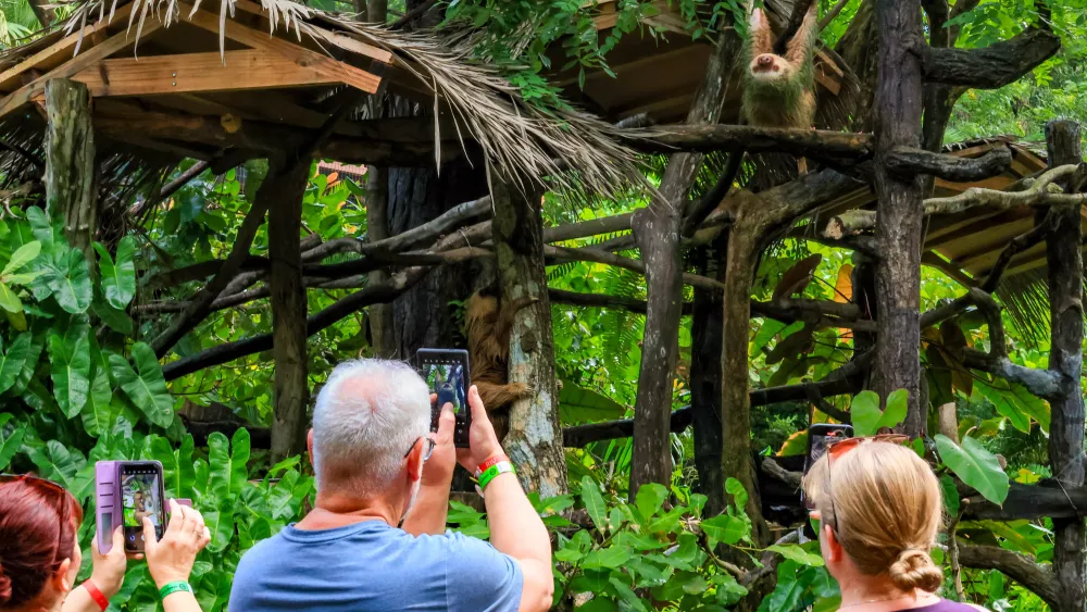 Family observing sloths at Diamante’s Animal Sanctuary in Guanacaste Costa Rica