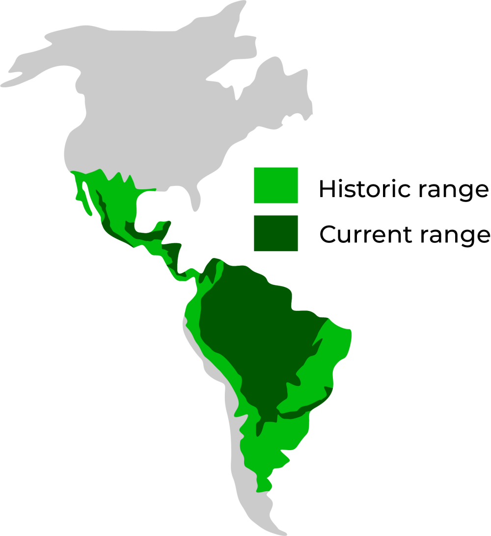 Map showing historic and current range of a species in the Americas with light and dark green shading.