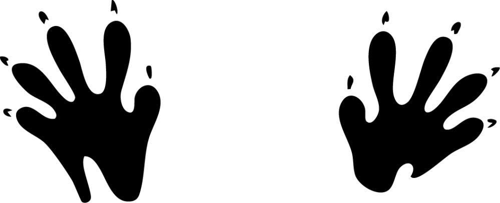 Silhouette of two animal paw prints with five toes each.