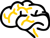 Illustration of a brain with black outline and yellow lines.
