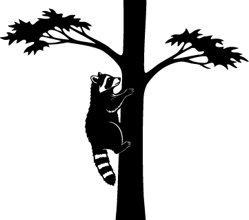 Silhouette of a raccoon climbing a tree.
