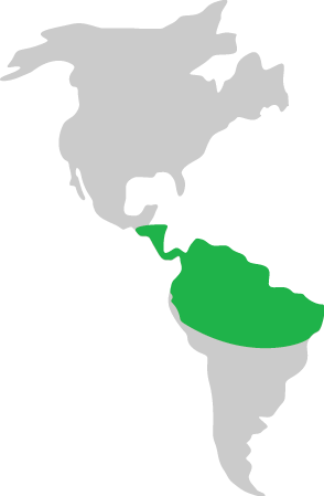 Map highlighting Central and South America in green.