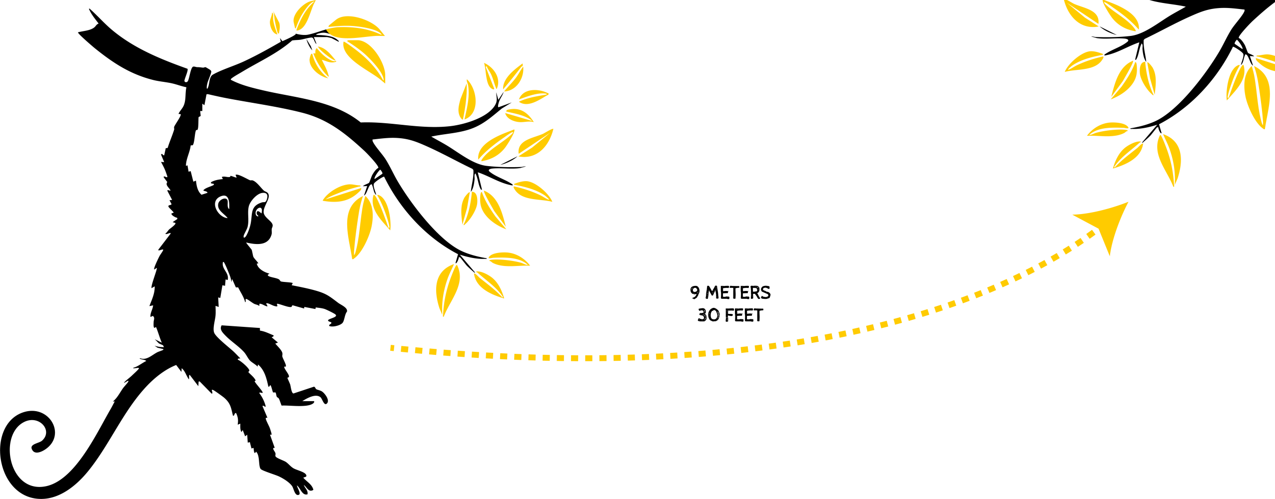 Silhouette of monkey hanging on branch with 9-meter leap to another branch.